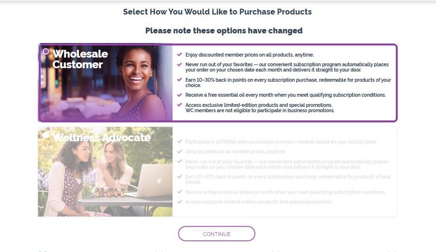 Wholesale Customer este deja selectat
