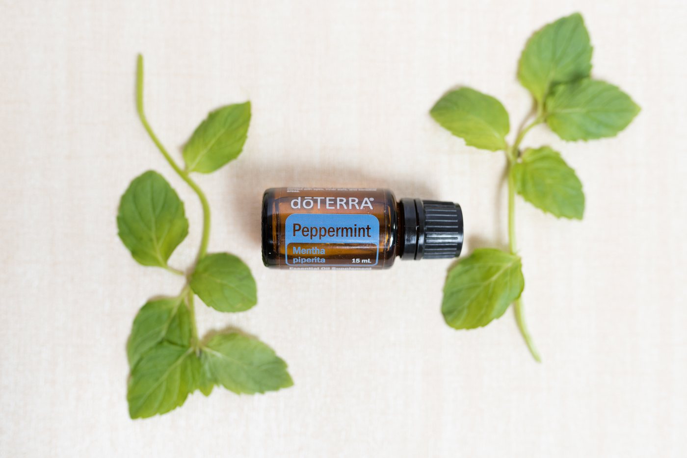 בקבוק מנטה (פפרמינט) של dōTERRA בין ענפי נענע טריים